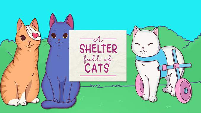 A Shelter Full of Cats