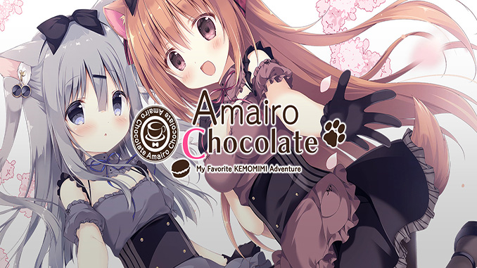 Amairo Chocolate